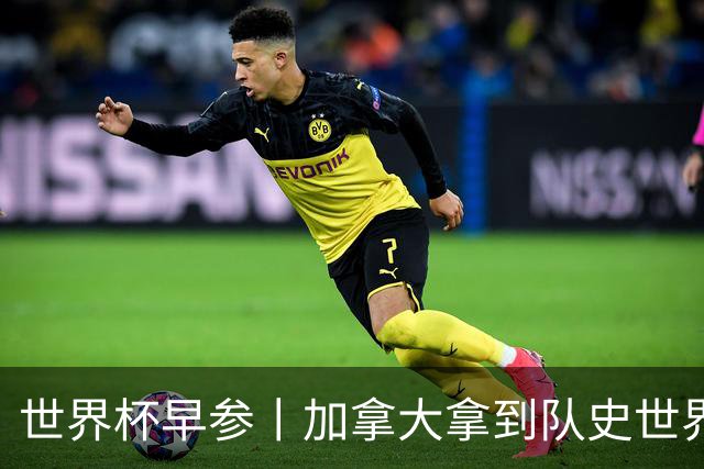 世界杯早参丨加拿大拿到队史世界杯首个积分 开幕式表演翻车大力神杯瘪了 加纳一球员涉嫌强奸被拒绝入境无缘首战